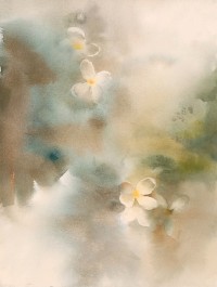 Hafsa Shaikh, 11 x 15 inch, Water Color On Paper, Floral Painting, AC-HFS-054